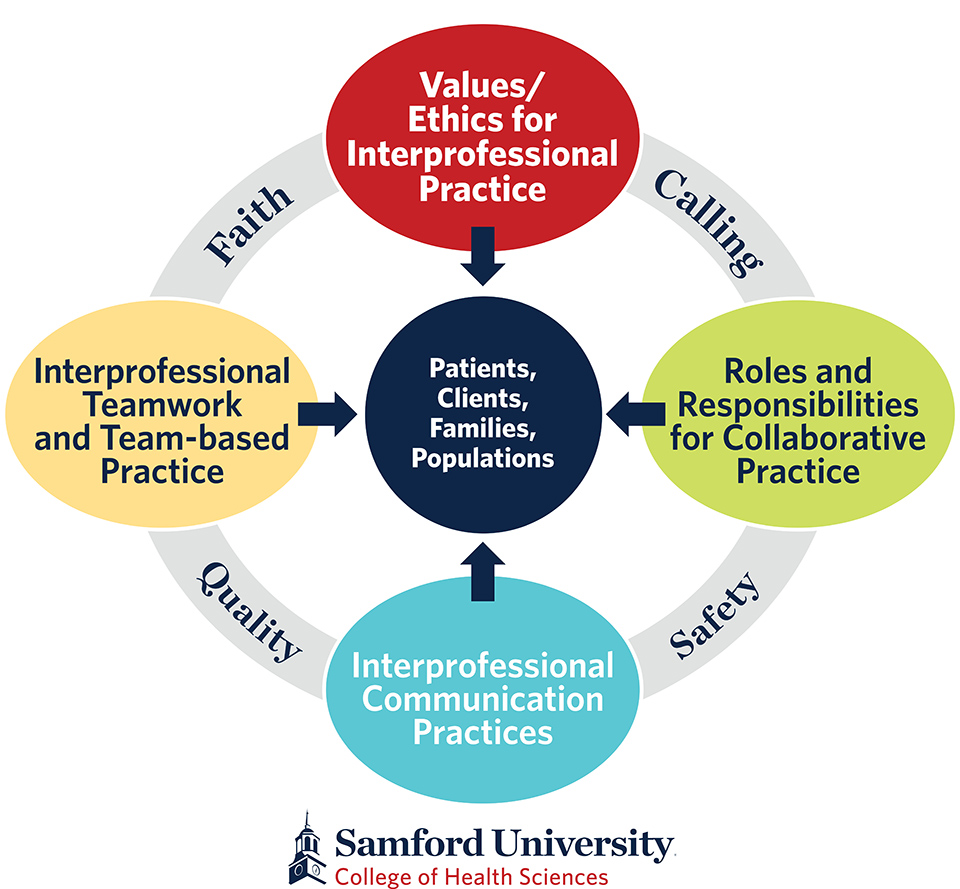 Graphic of Samford's model for interprofessional education 